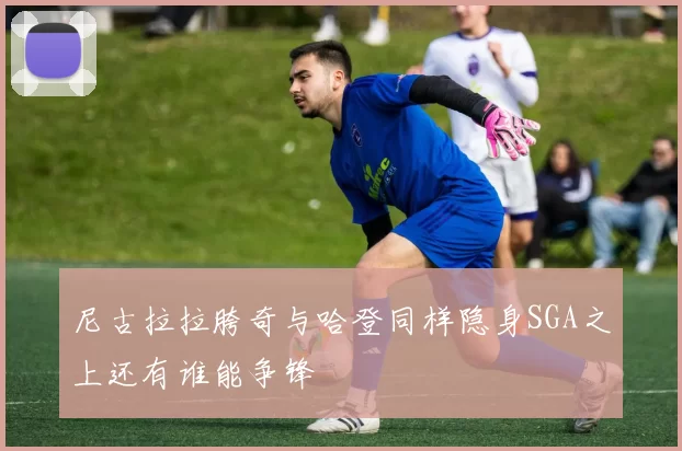 尼古拉拉胯奇与哈登同样隐身SGA之上还有谁能争锋