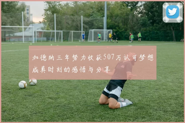 加德纳三年努力收获507万认可梦想成真时刻的感悟与分享