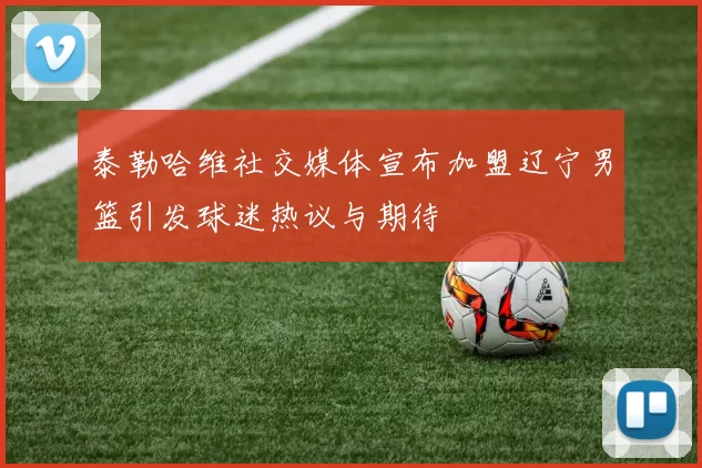 泰勒哈维社交媒体宣布加盟辽宁男篮引发球迷热议与期待